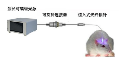 波形自由編輯光源